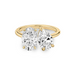 Amor Toi Et Moi Lab Grown Engagement Ring - Armans Fine Jewellery