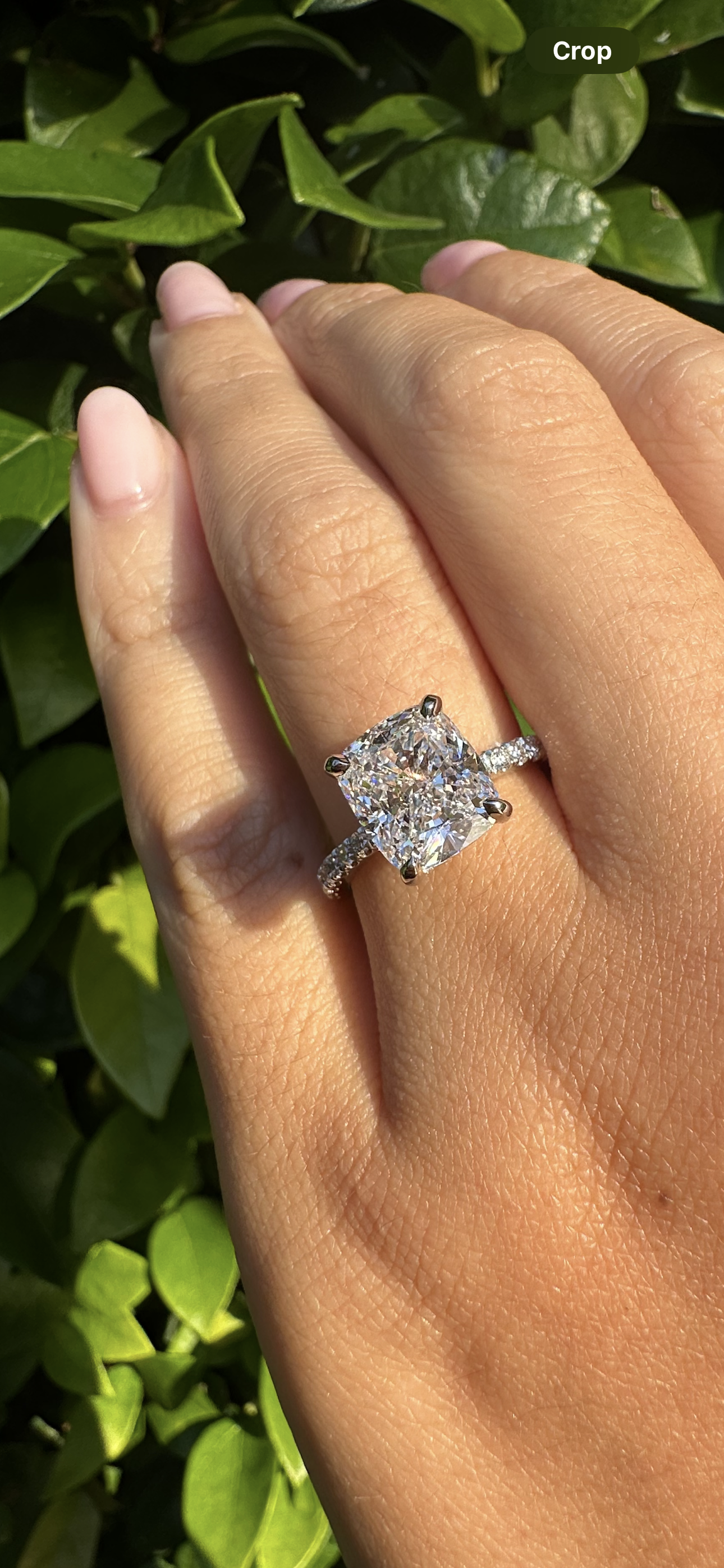 Chloe Cushion Lab Grown Engagement Ring - Armans Fine Jewellery