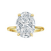 Golden Eternity Lab Grown Engagement Ring - Armans Fine Jewellery