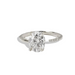 Oval Diamond Split Engagement Ring - Armans Fine Jewellery