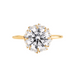Solar Flare Halo Diamond Engagement Ring - Armans Fine Jewellery