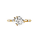 Round Twilight Lab Grown Engagement Ring - Armans Fine Jewellery