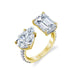 Ava Two Stone Engagement Ring - Armans Fine Jewellery