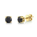 Black Diamond Studs - Armans Fine Jewellery