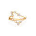 Capricorn Diamond Constellation Ring - Armans Fine Jewellery