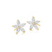 Daisy Diamond Studs - Armans Fine Jewellery