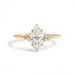 Diamond Frost Engagement Ring - Armans Fine Jewellery