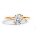 Fire Fly Diamond Engagement Ring - Armans Fine Jewellery