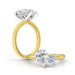 Fire and Ice Two Stone Engagement Ring - Armans Fine Jewellery