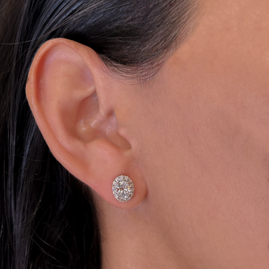 Oval Diamond Halo Studs - Armans Fine Jewellery