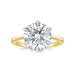 Round Allure Engagement Ring - Armans Fine Jewellery