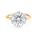 Round Lara Engagement Ring - Armans Fine Jewellery
