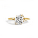 Starry Night Diamond Engagement Ring - Armans Fine Jewellery